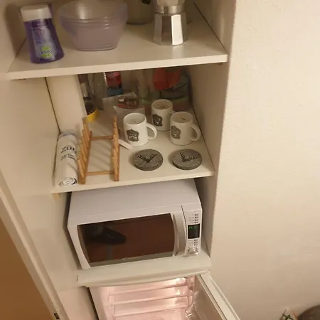 Your Summer Rooftop * زيورخ